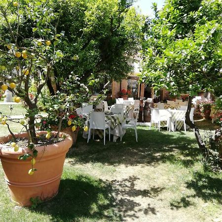 Villa Esmeralda Amantea Dış mekan fotoğraf
